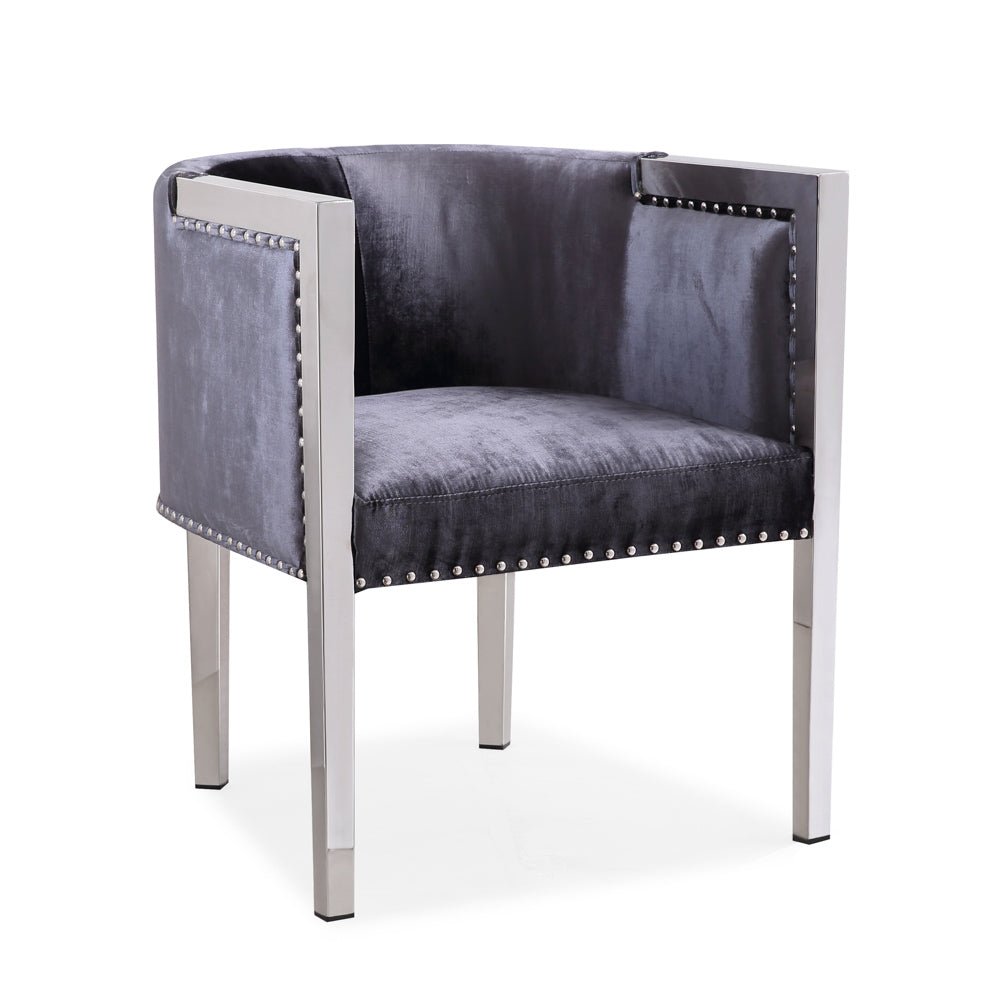 Luxurious  Velvet and Stainless Steel Accent Chair