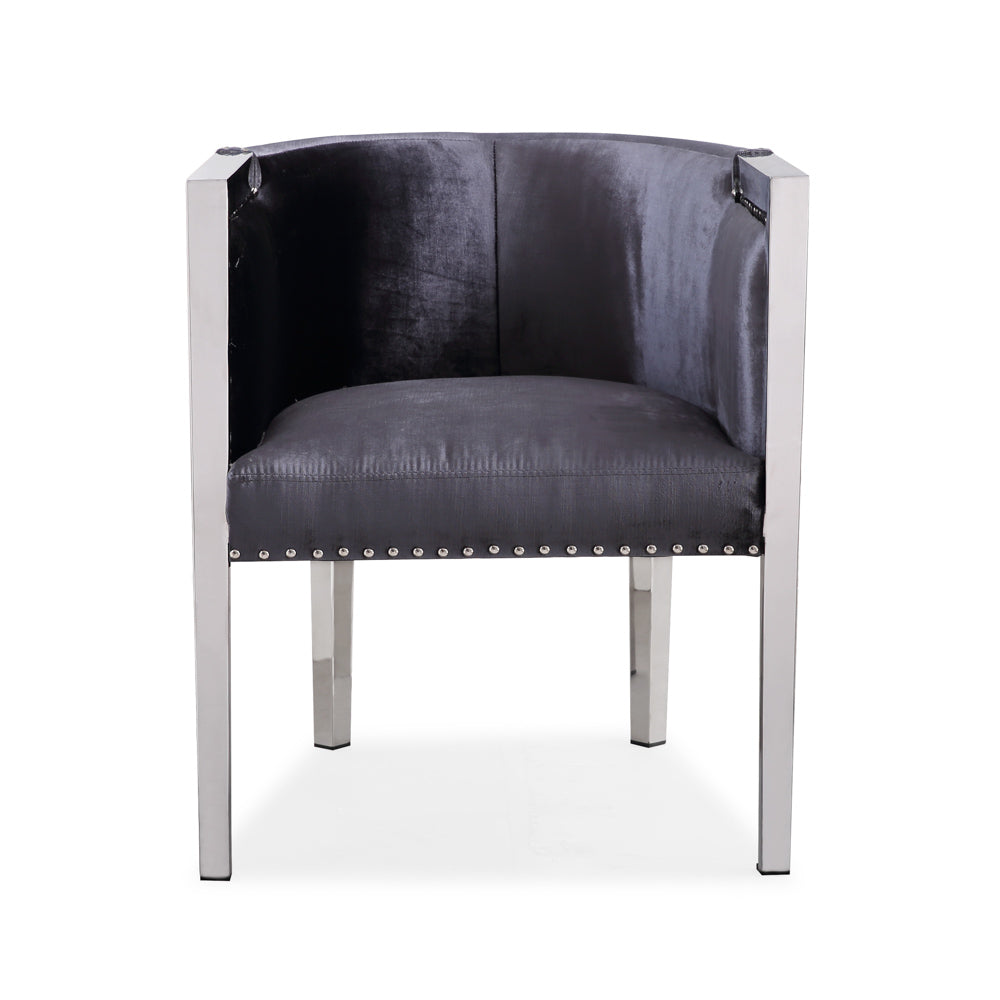 Luxurious  Velvet and Stainless Steel Accent Chair