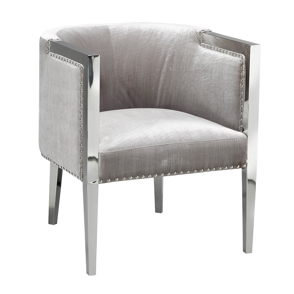 Luxurious  Velvet and Stainless Steel Accent Chair