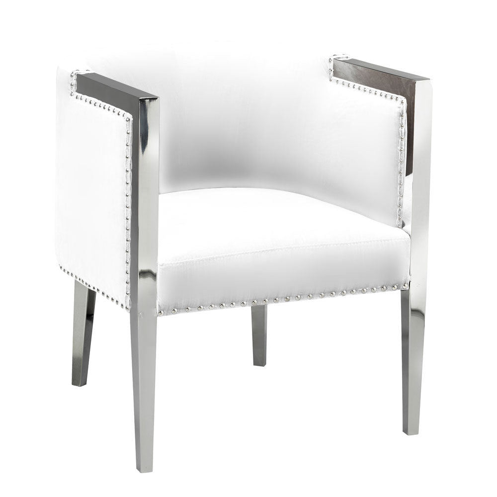 Luxurious  Velvet and Stainless Steel Accent Chair