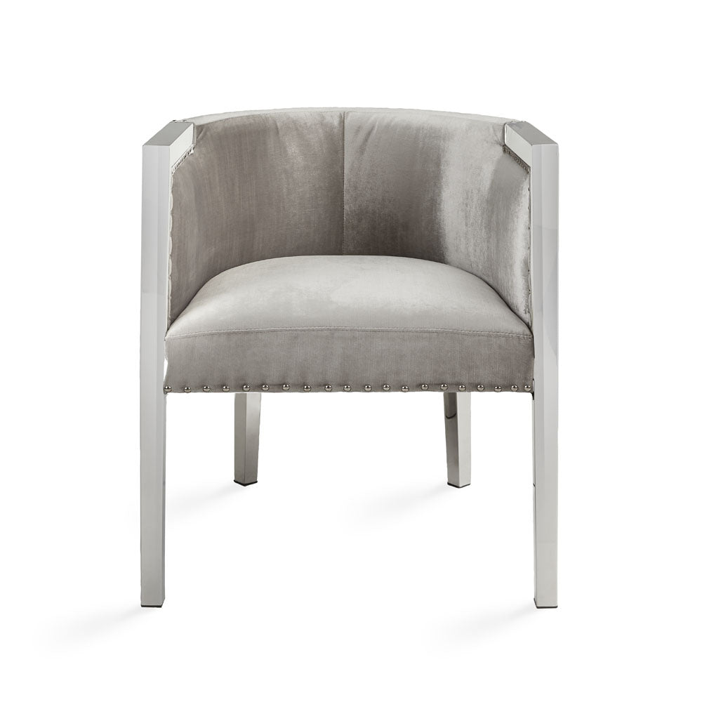 Luxurious  Velvet and Stainless Steel Accent Chair