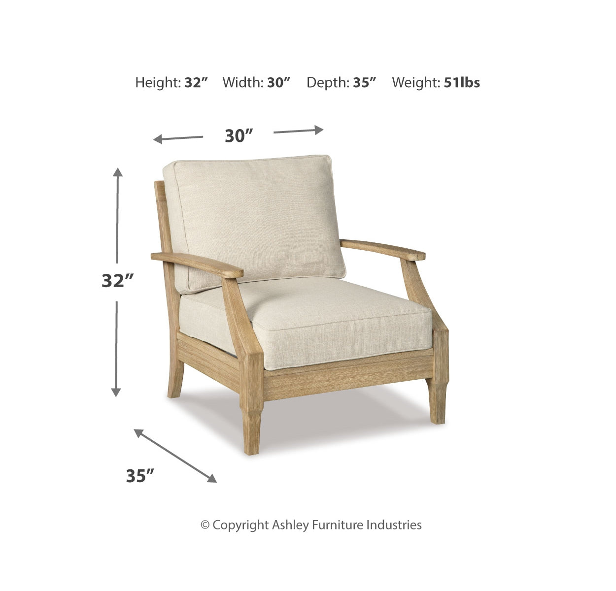 Clare View Lounge Chair with Cushion